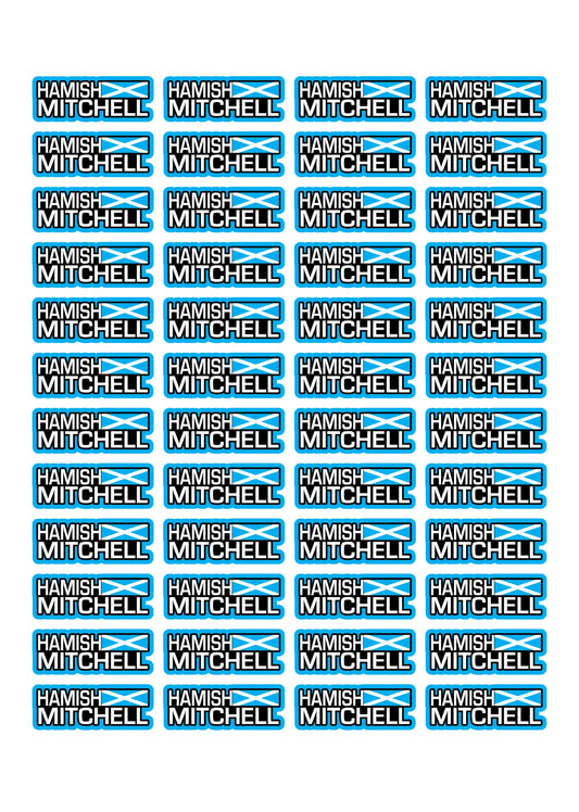 Flag Race Name Stickers For 1/8th scale Radio Controlled Vehicle A4,A5 Available