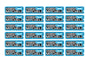 Flag Race Name Stickers For 1/8th scale Radio Controlled Vehicle A4,A5 Available