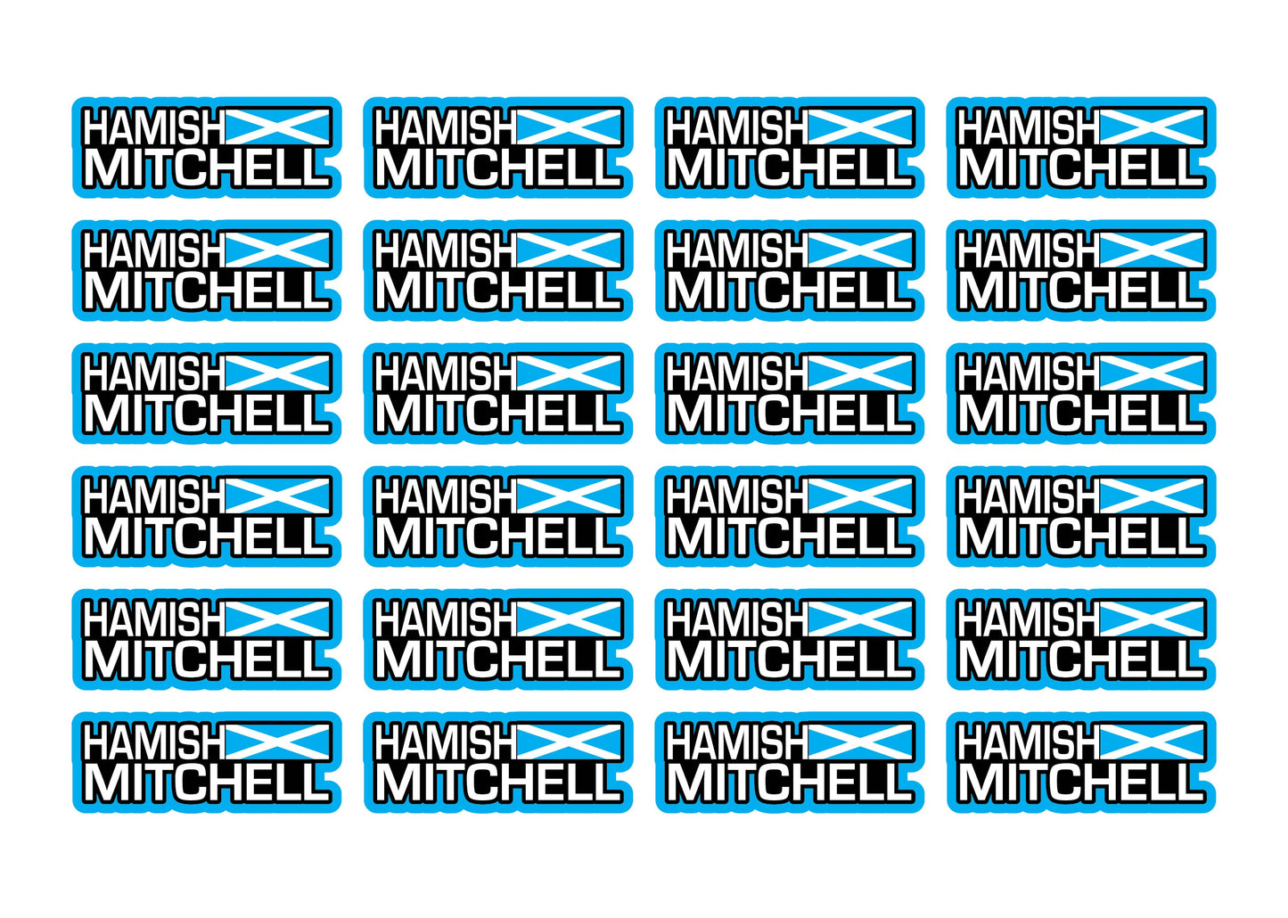 Flag Race Name Stickers For 1/8th scale Radio Controlled Vehicle A4,A5 Available
