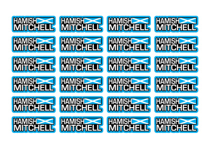 Flag Race Name Stickers For 1/8th scale Radio Controlled Vehicle A4,A5 Available