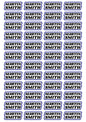 Race Name Stickers For 1/8th scale Radio Controlled Vehicle A4,A5 Available