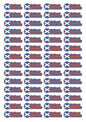 Round Flag Race Name Stickers For 1/8th scale Radio Controlled Vehicle A4,A5 Available
