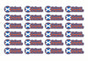 Round Flag Race Name Stickers For 1/8th scale Radio Controlled Vehicle A4,A5 Available