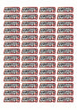 Wavey Race Name Stickers For 1/8th scale Radio Controlled Vehicle A4,A5 Available