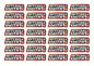 Wavey Race Name Stickers For 1/8th scale Radio Controlled Vehicle A4,A5 Available