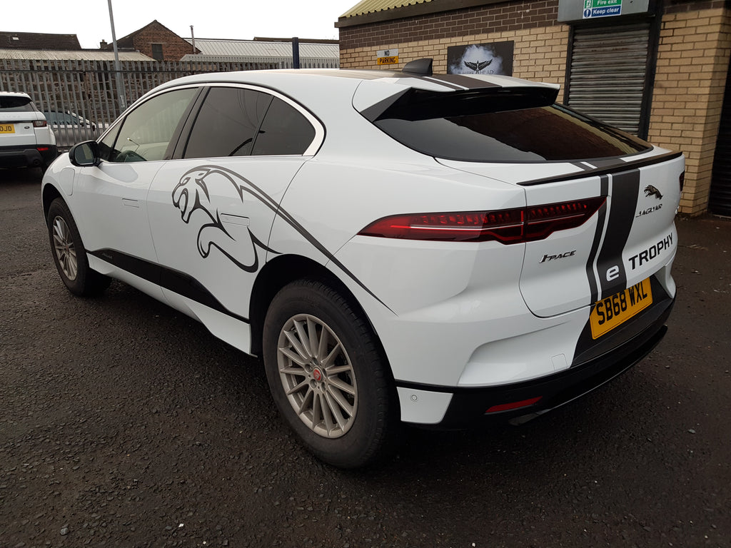 CUSTOM Leaping Big Cat graphics decals stickers