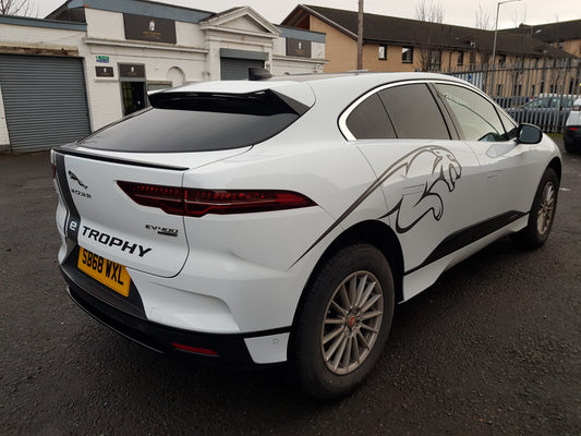 CUSTOM Leaping Big Cat graphics decals stickers