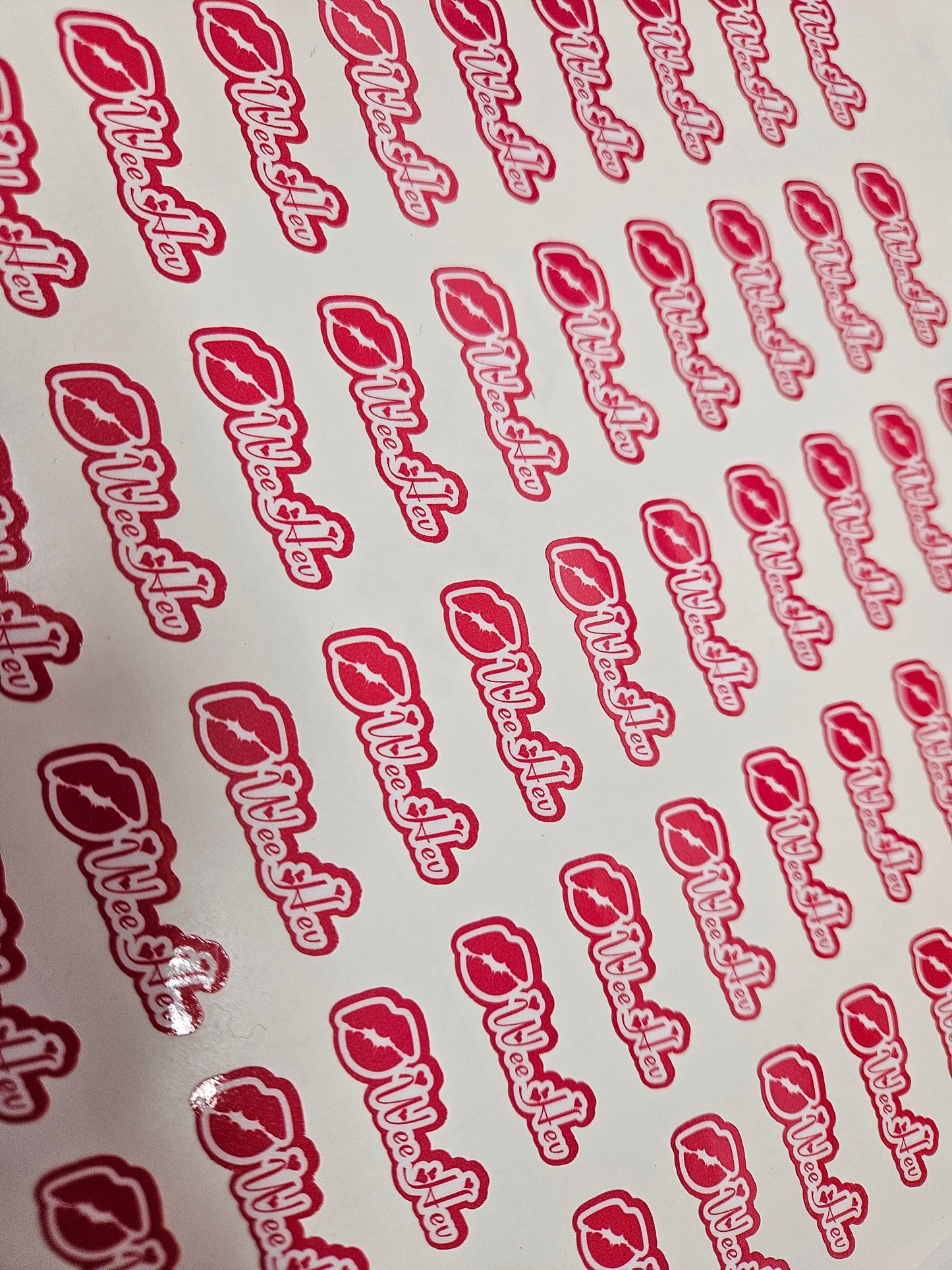 Race Name Stickers For 1/5th scale Radio Controlled Vehicle A4,A5 Available