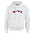 HCL29 Chicago Unisex Cotton Hoodie Various Sizes & Colours Available