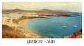 PP33 Lanzarote Spain Panoramic Premium Waterproof & Tear Resistant Poster