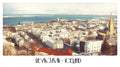 PP67 Reykjavik Iceland Panoramic Premium Waterproof & Tear Resistant Poster