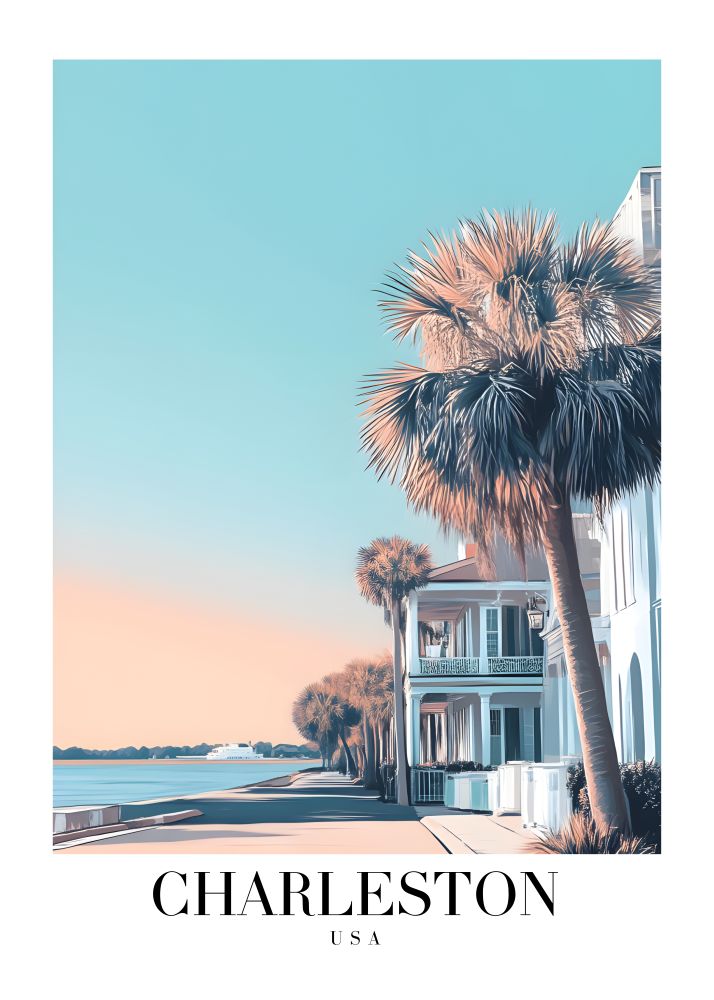 DAV95 Charleston USA Printed | Premium Waterproof & Tear Resistant Full Colour Posters