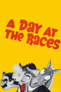 1930 A Day at the Races (1937) Film/Movie Premium Waterproof & Tear Resistant Posters