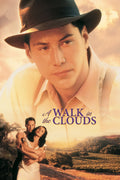 A Walk in the Clouds (1995) Film/Movie Premium Waterproof & Tear Resistant Posters