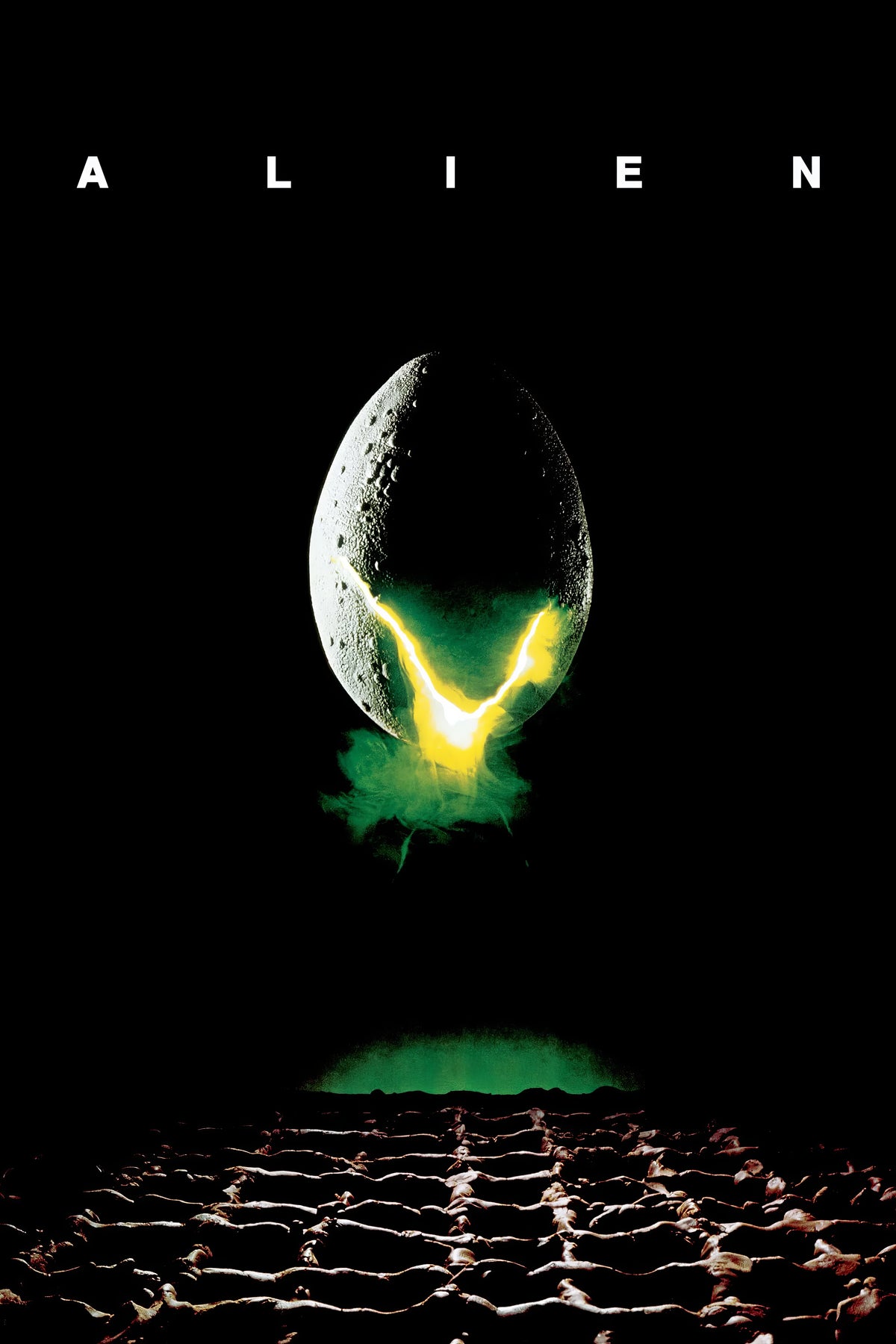 Alien (1979) Film/Movie Premium Waterproof & Tear Resistant Posters
