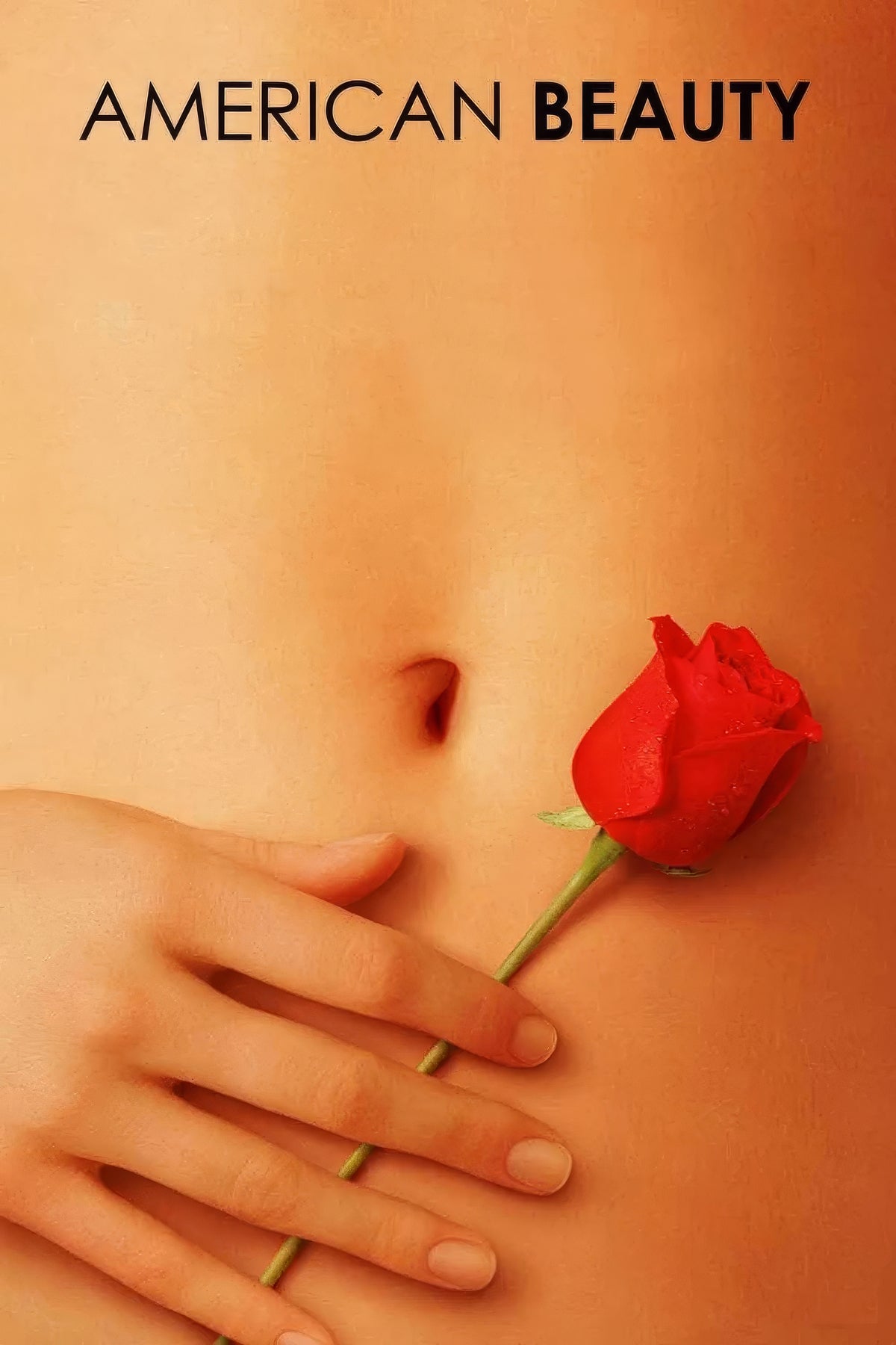 American Beauty (1999) Film/Movie Premium Waterproof & Tear Resistant Posters