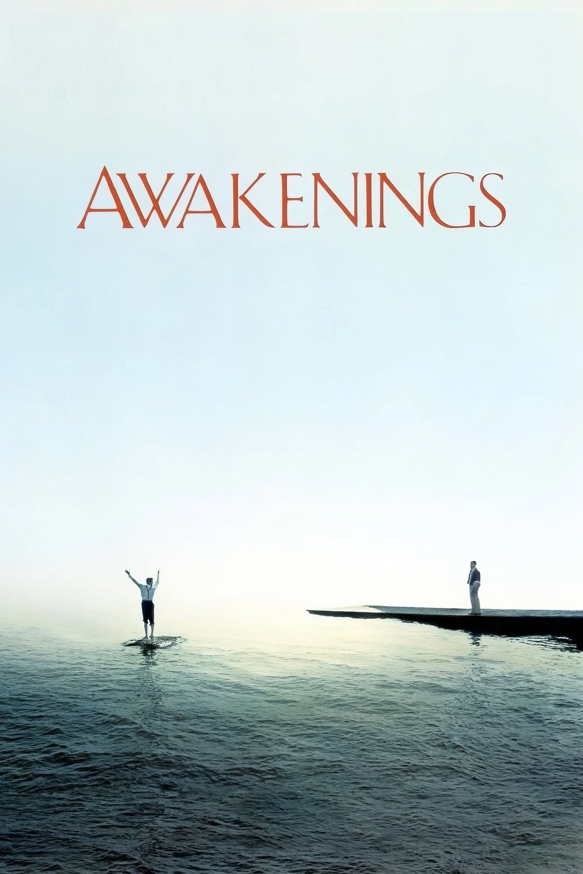 Awakenings (1990) Film/Movie Premium Waterproof & Tear Resistant Posters
