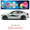 CSG08 Car Side Graphics X 2  Universal Will Fit Any Car or Van
