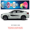 CSG10 Car Side Graphics X 2  Universal Will Fit Any Car or Van