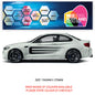 CSG18 Car Side Graphics X 2  Universal Will Fit Any Car or Van
