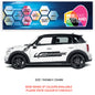 CSG24 Car Side Graphics X 2  Universal Will Fit Any Car or Van