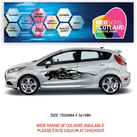 CSG41 Car Side Graphics X 2  Universal Will Fit Any Car or Van
