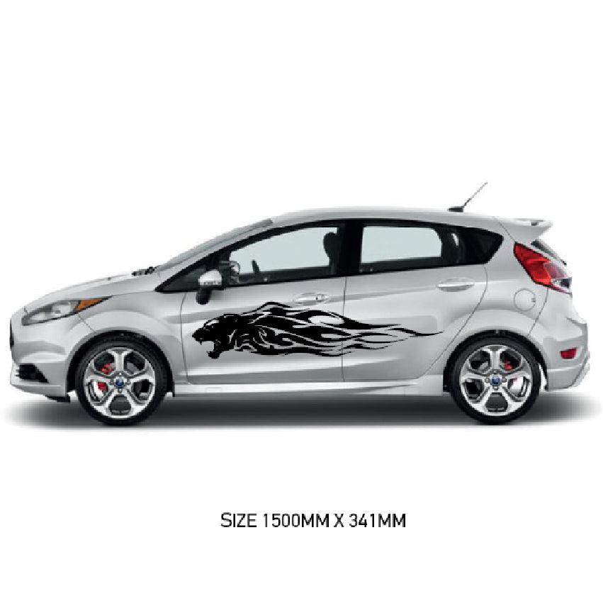 CSG41 Car Side Graphics X 2  Universal Will Fit Any Car or Van