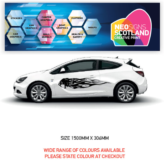 CSG45 Car Side Graphics X 2  Universal Will Fit Any Car or Van