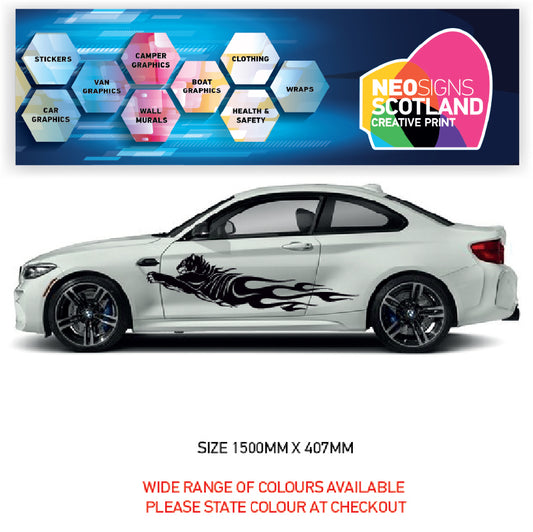 CSG48 Car Side Graphics X 2  Universal Will Fit Any Car or Van