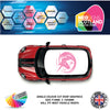 CRG15 Unicorn roof graphic Universal for any car