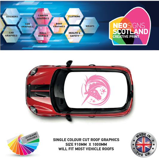 CRG15 Unicorn roof graphic Universal for any car