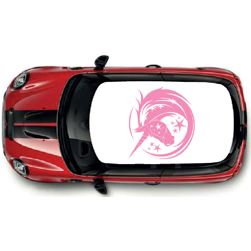 CRG01-25 Roof Graphic Universal For Any Car Various Designs Available