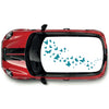 CRG17 Butterflies roof graphic Universal for any car