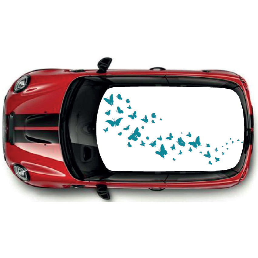 CRG01-25 Roof Graphic Universal For Any Car Various Designs Available