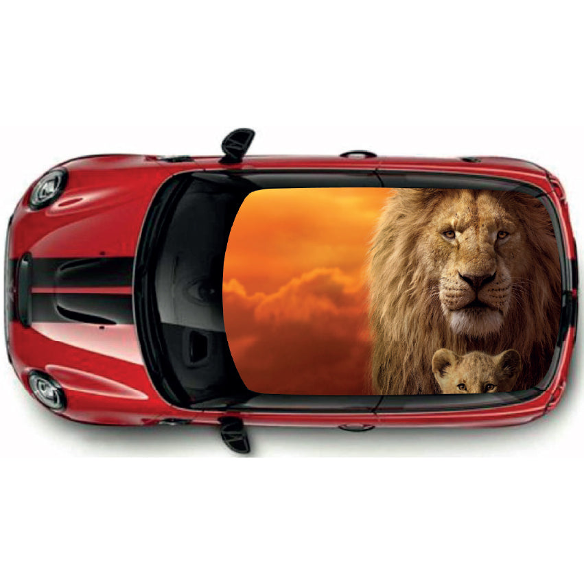 CRW012 Printed Roof Wrap For Mini Or Any Car Universal Various Designs Available