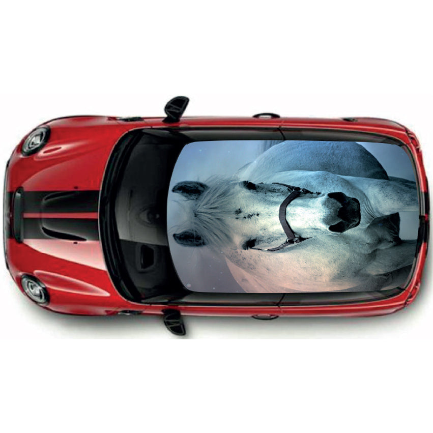 CRW014 Printed Roof Wrap For Mini Or Any Car Universal Various Designs Available