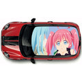 CRW038 Printed Roof Wrap For Mini Or Any Car Universal Various Designs Available