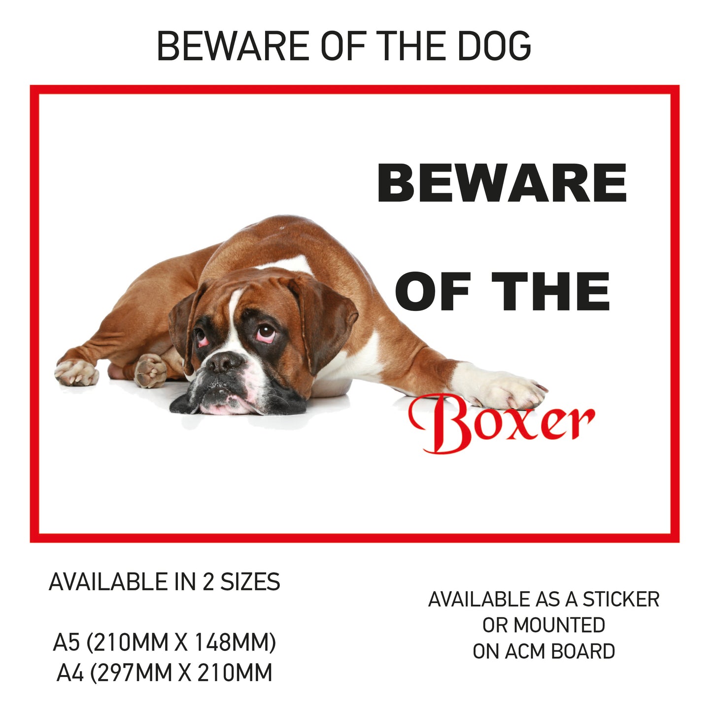 DS01-10 Funny Beware  Dog Vinyl Car Van Decal Printed Laminated Sticker Pet Animal Lover Various Designs Available