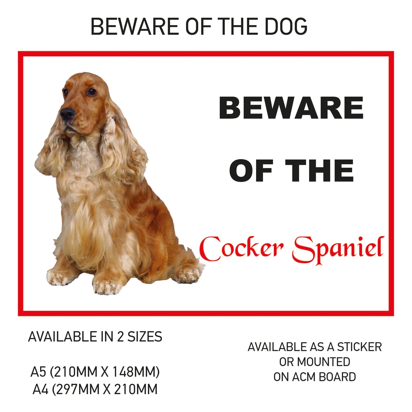 DS01-10 Funny Beware  Dog Vinyl Car Van Decal Printed Laminated Sticker Pet Animal Lover Various Designs Available