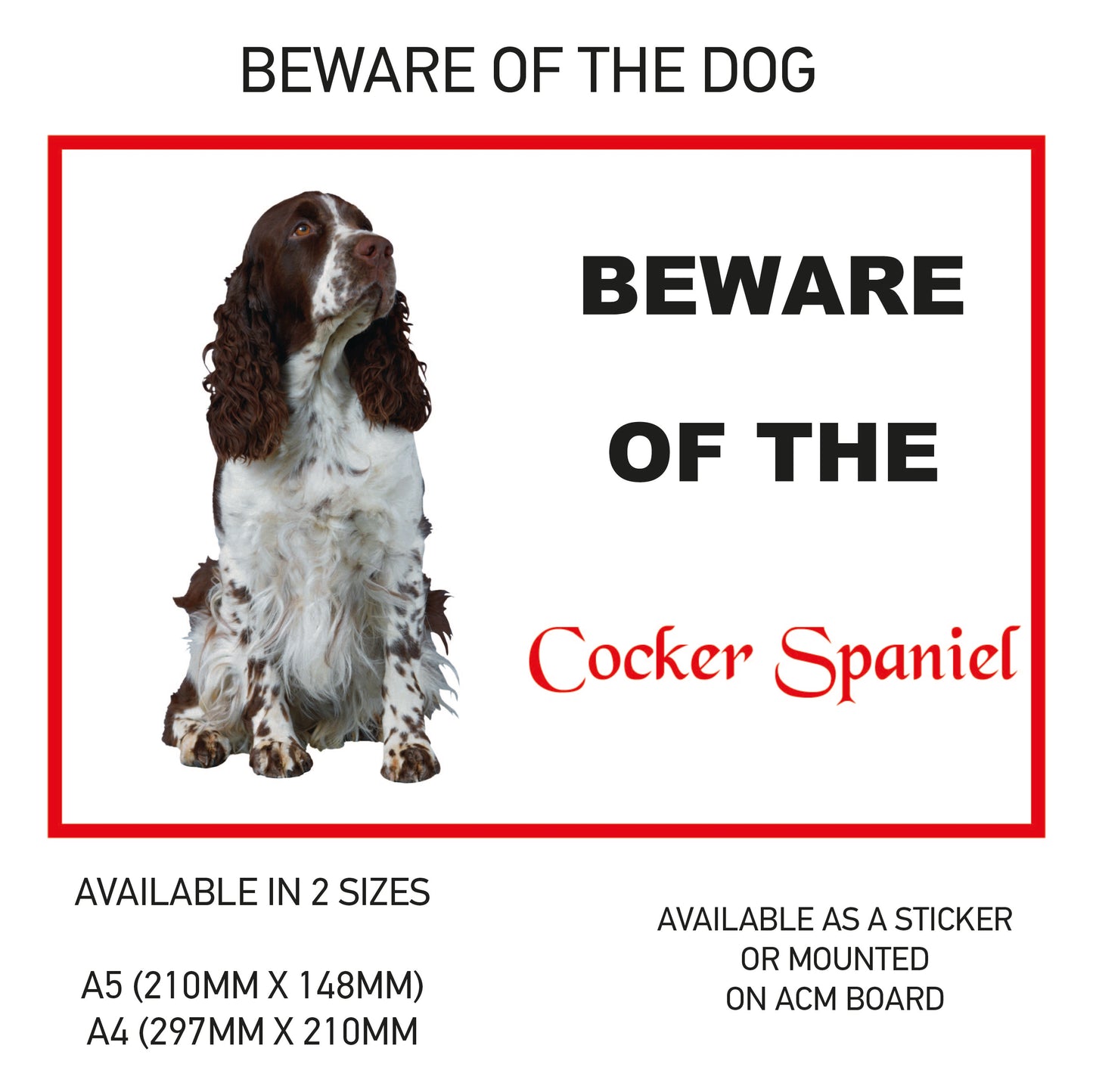 DS01-10 Funny Beware  Dog Vinyl Car Van Decal Printed Laminated Sticker Pet Animal Lover Various Designs Available
