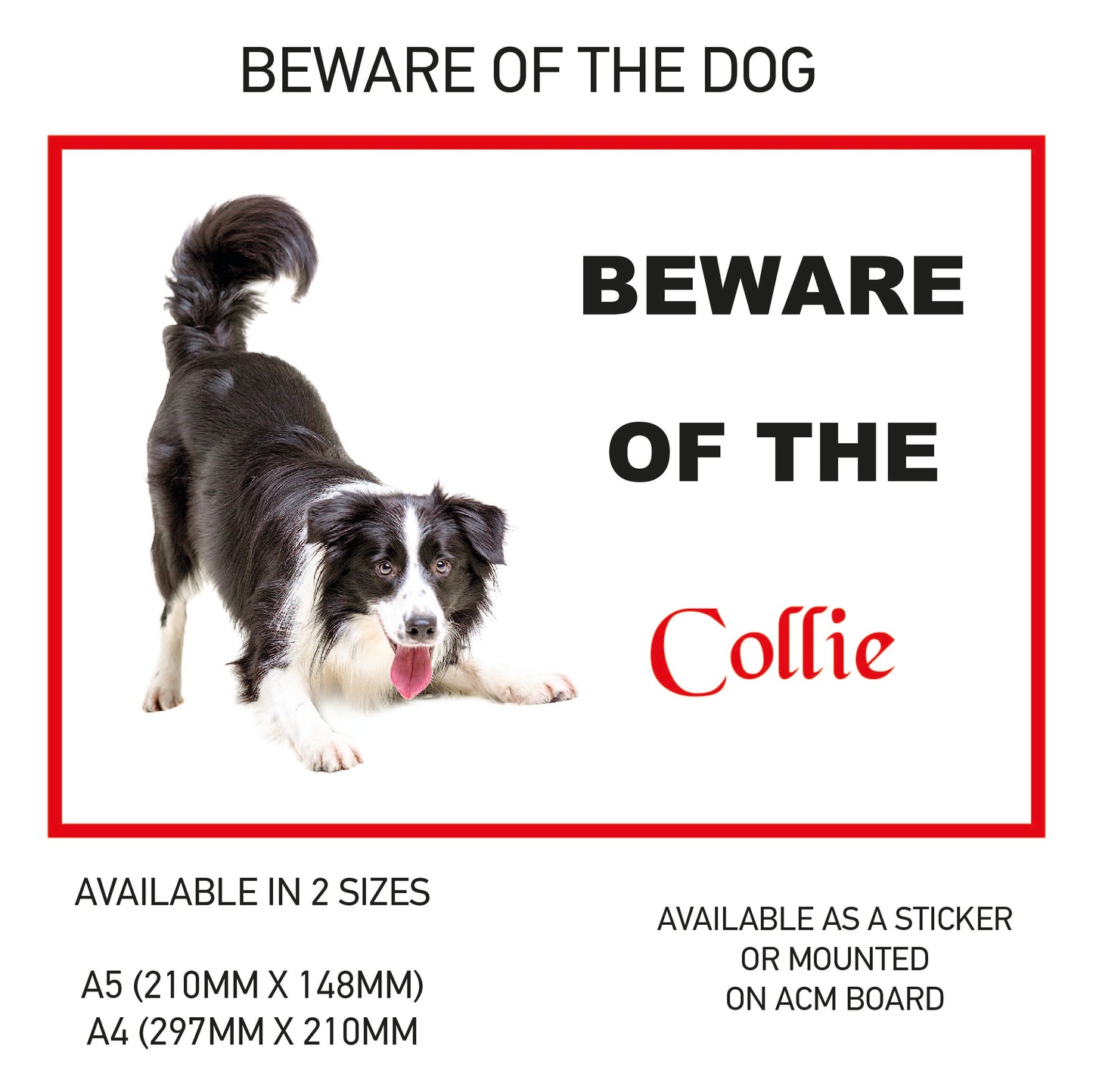 DS11-20 Funny Beware  Dog Vinyl Car Van Decal Printed Laminated Sticker Pet Animal Lover Various Designs Available