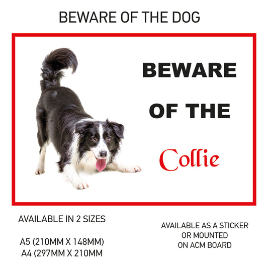 DS11-20 Funny Beware  Dog Vinyl Car Van Decal Printed Laminated Sticker Pet Animal Lover Various Designs Available