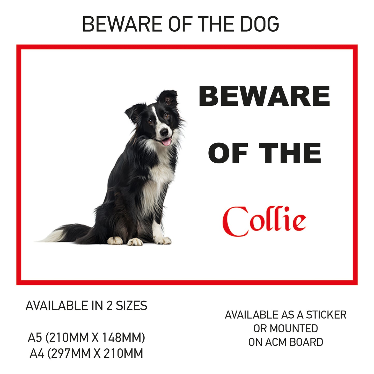 DS11-20 Funny Beware  Dog Vinyl Car Van Decal Printed Laminated Sticker Pet Animal Lover Various Designs Available