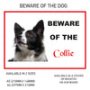 DS11-20 Funny Beware  Dog Vinyl Car Van Decal Printed Laminated Sticker Pet Animal Lover Various Designs Available