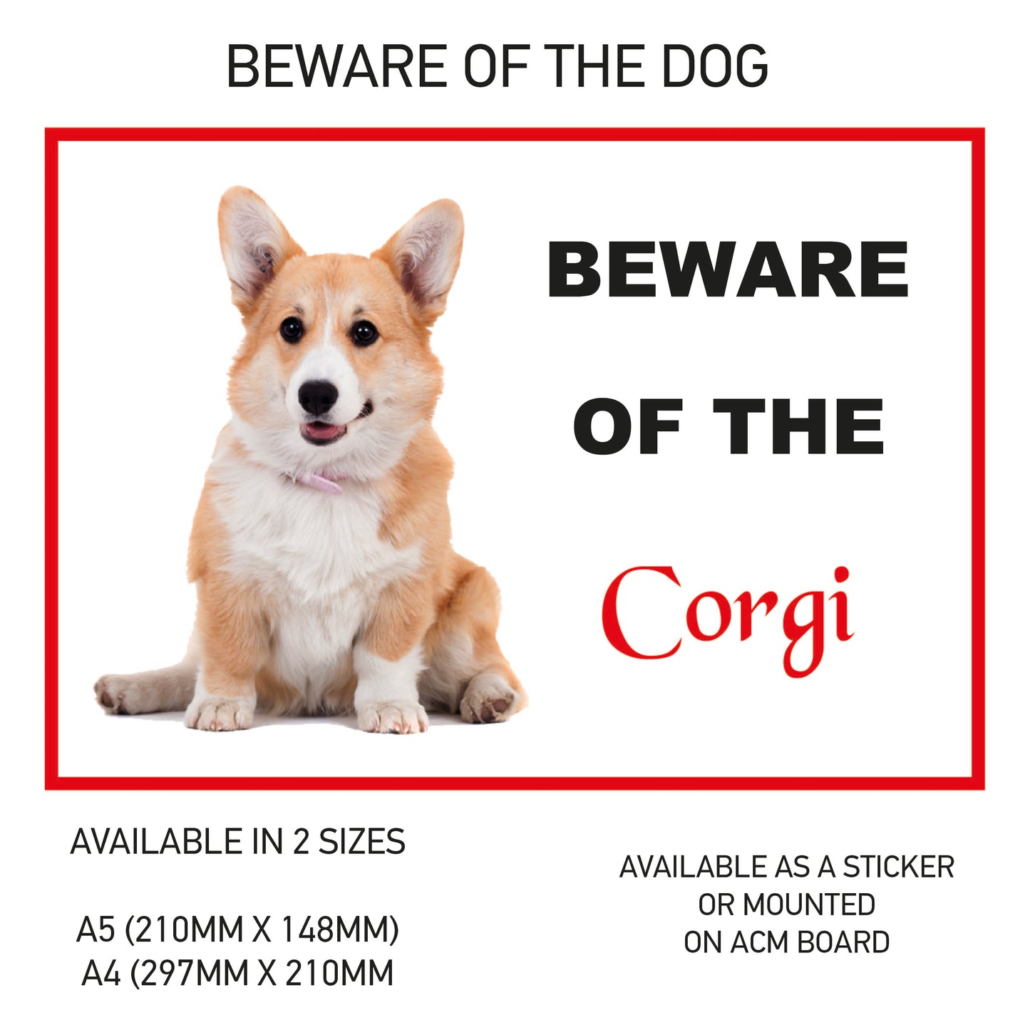 DS11-20 Funny Beware  Dog Vinyl Car Van Decal Printed Laminated Sticker Pet Animal Lover Various Designs Available