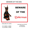 DS11-20 Funny Beware  Dog Vinyl Car Van Decal Printed Laminated Sticker Pet Animal Lover Various Designs Available