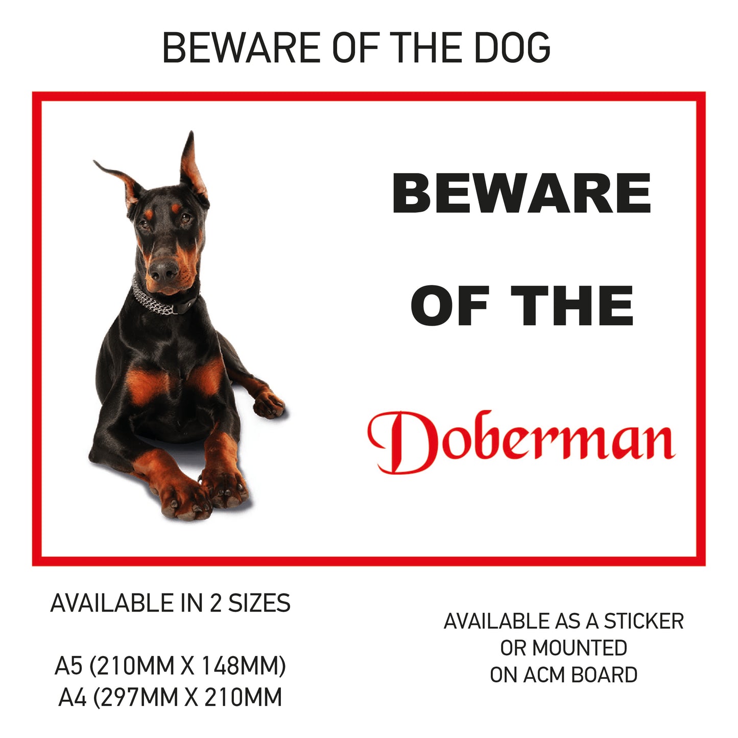 DS11-20 Funny Beware  Dog Vinyl Car Van Decal Printed Laminated Sticker Pet Animal Lover Various Designs Available