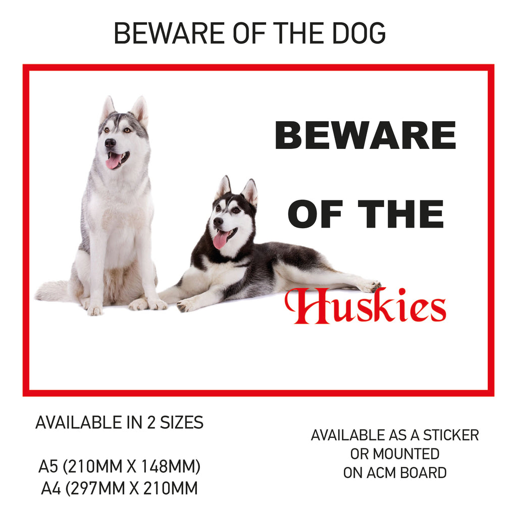 DS31-40 Funny Beware  Dog Vinyl Car Van Decal Printed Laminated Sticker Pet Animal Lover Various Designs Available