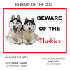 DS31-40 Funny Beware  Dog Vinyl Car Van Decal Printed Laminated Sticker Pet Animal Lover Various Designs Available