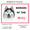 DS31-40 Funny Beware  Dog Vinyl Car Van Decal Printed Laminated Sticker Pet Animal Lover Various Designs Available
